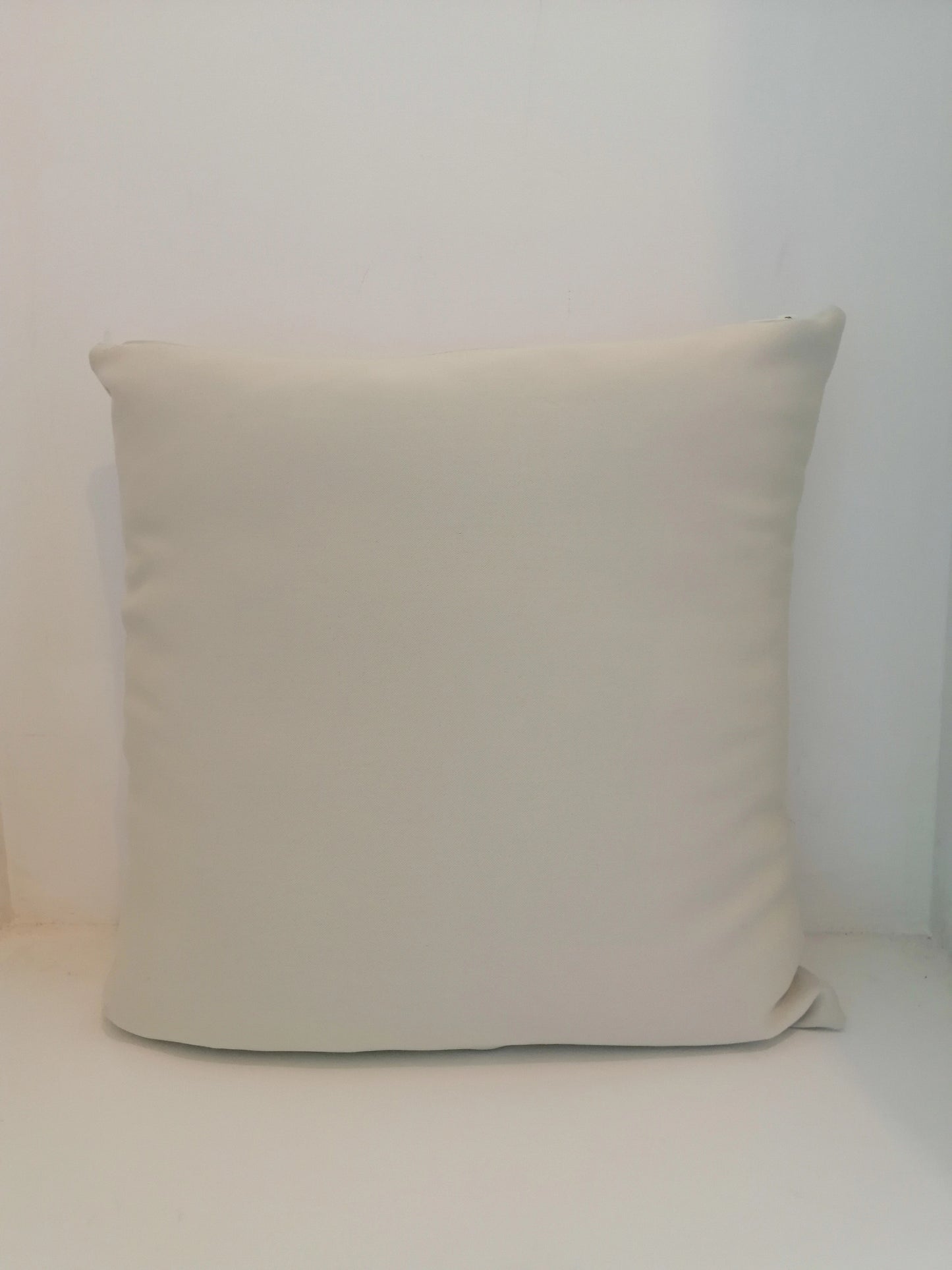 Housse de coussin satiné